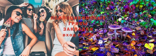 винт Белокуриха