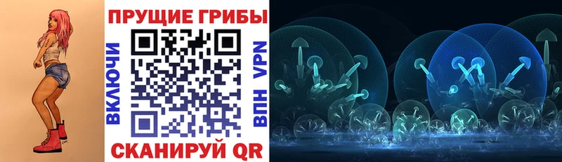 Галлюциногенные грибы Cubensis  Невель 